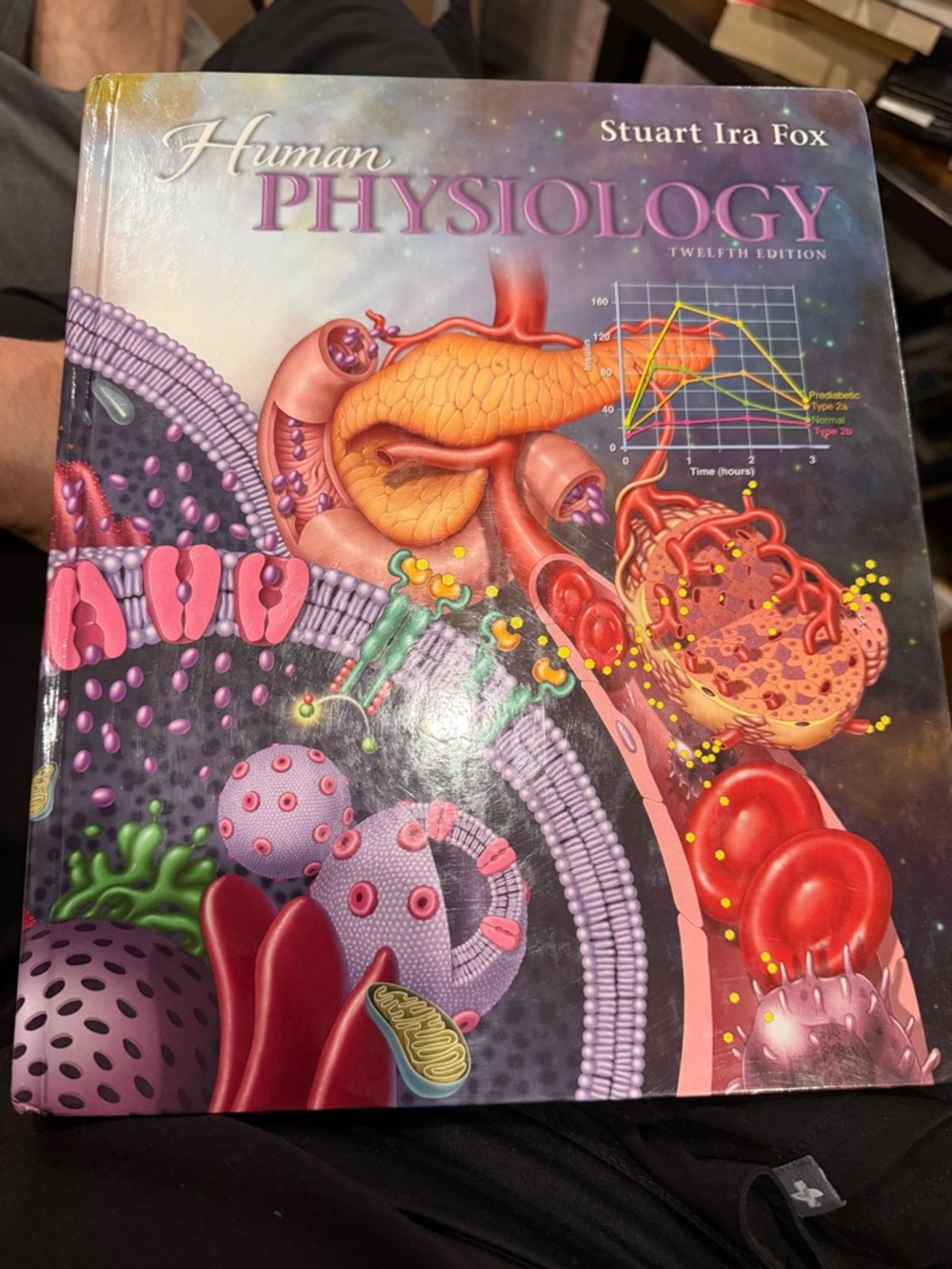 Human Physiology Textbook by Stuart Ira Fox - 12th edition